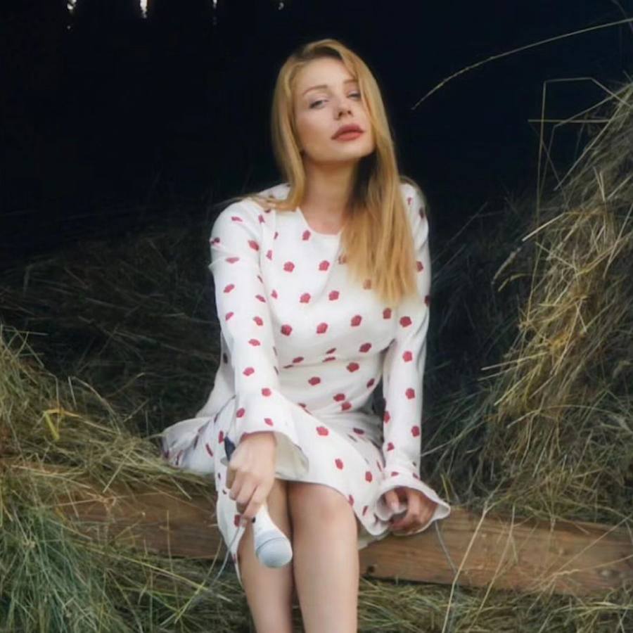 Найдорожча Червона рута: скільки коштує сукня Тіни Кароль у народному стилі